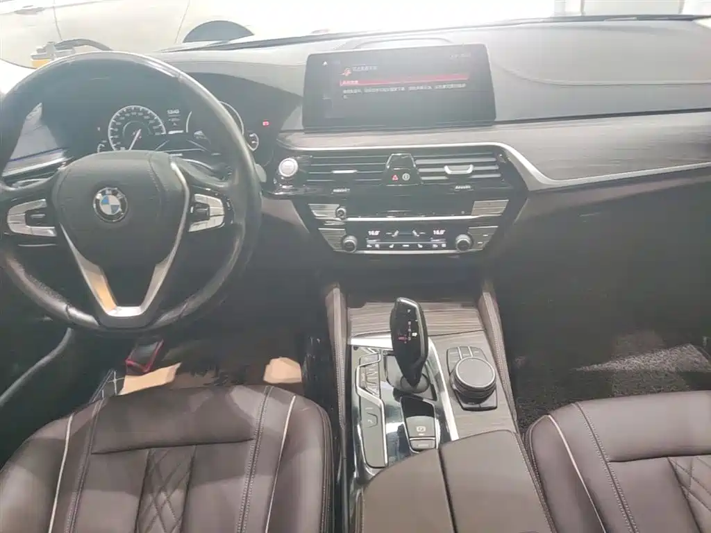 BMW 5 Series New Energy 2019 530Le Luxury Package фото 14