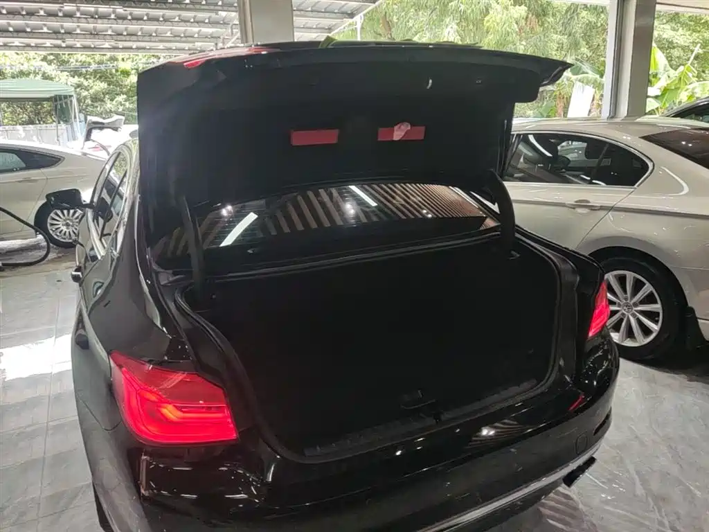 BMW 5 Series New Energy 2019 530Le Luxury Package фото 19