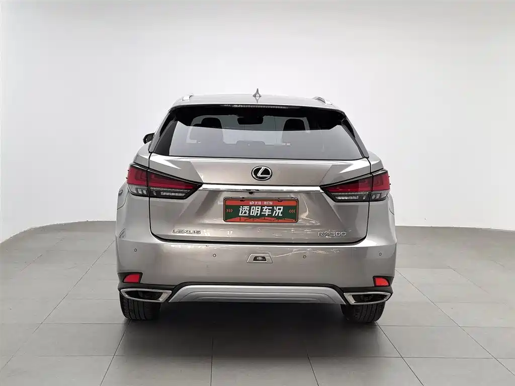 Lexus RX 2020 Facelift 300 AWD Elegance Edition фото 4