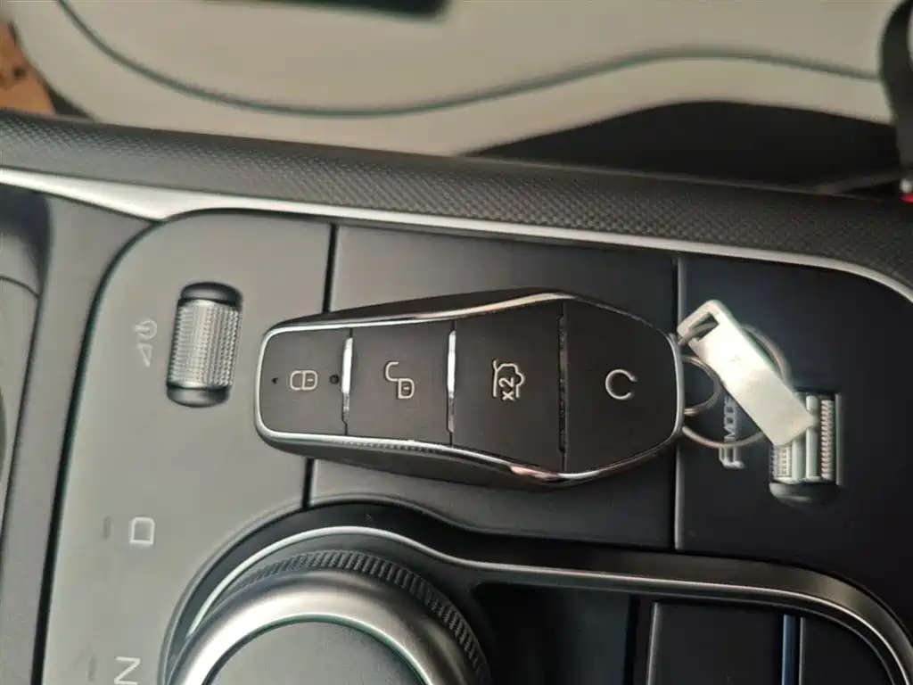 BYD Destroyer 05 2024 Glory Edition DM-i 55KM Luxury фото 9