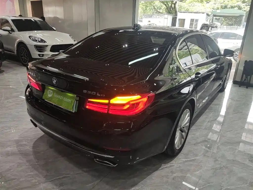 BMW 5 Series New Energy 2019 530Le Luxury Package фото 8