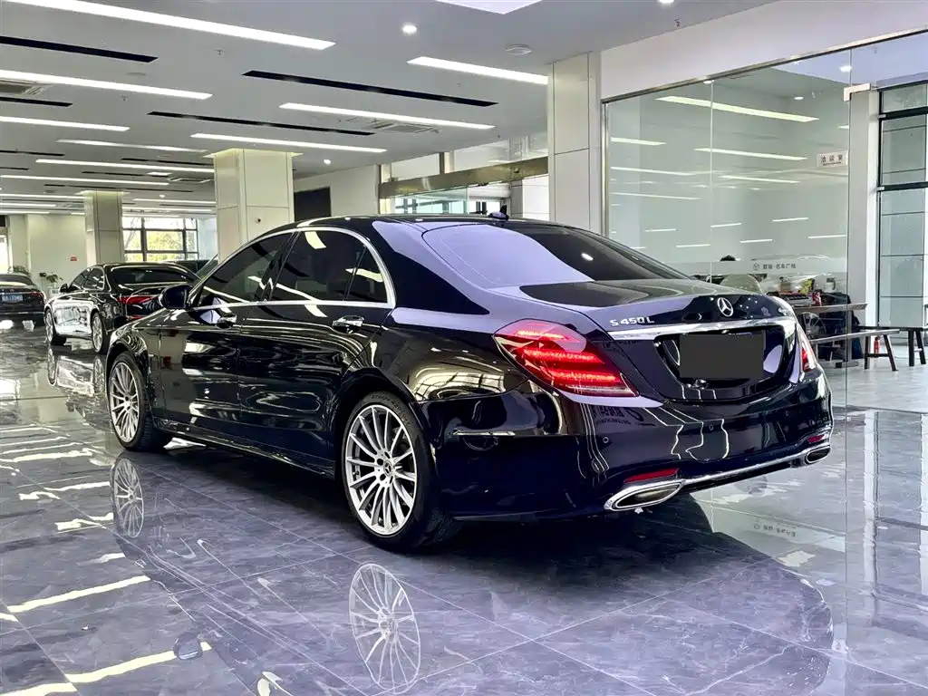Mercedes-Benz S-Class 2019 S 450 L 4MATIC фото 6