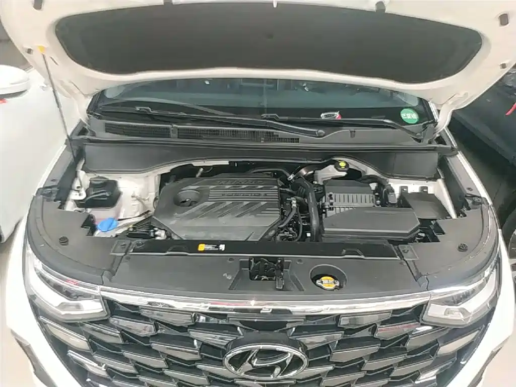 Hyundai Kustu 2021 380TGDi Smart Love Flagship TOP Premium фото 20