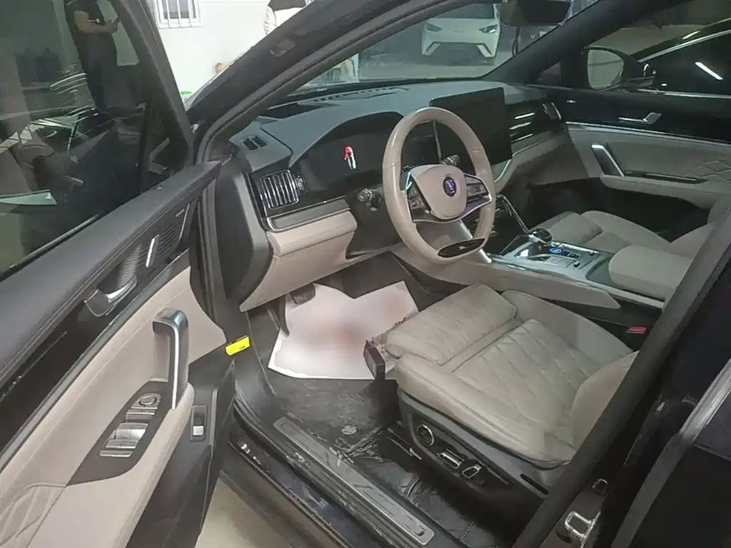 BYD Tang New Energy 2024 EV Glory Edition 730KM Premium фото 16