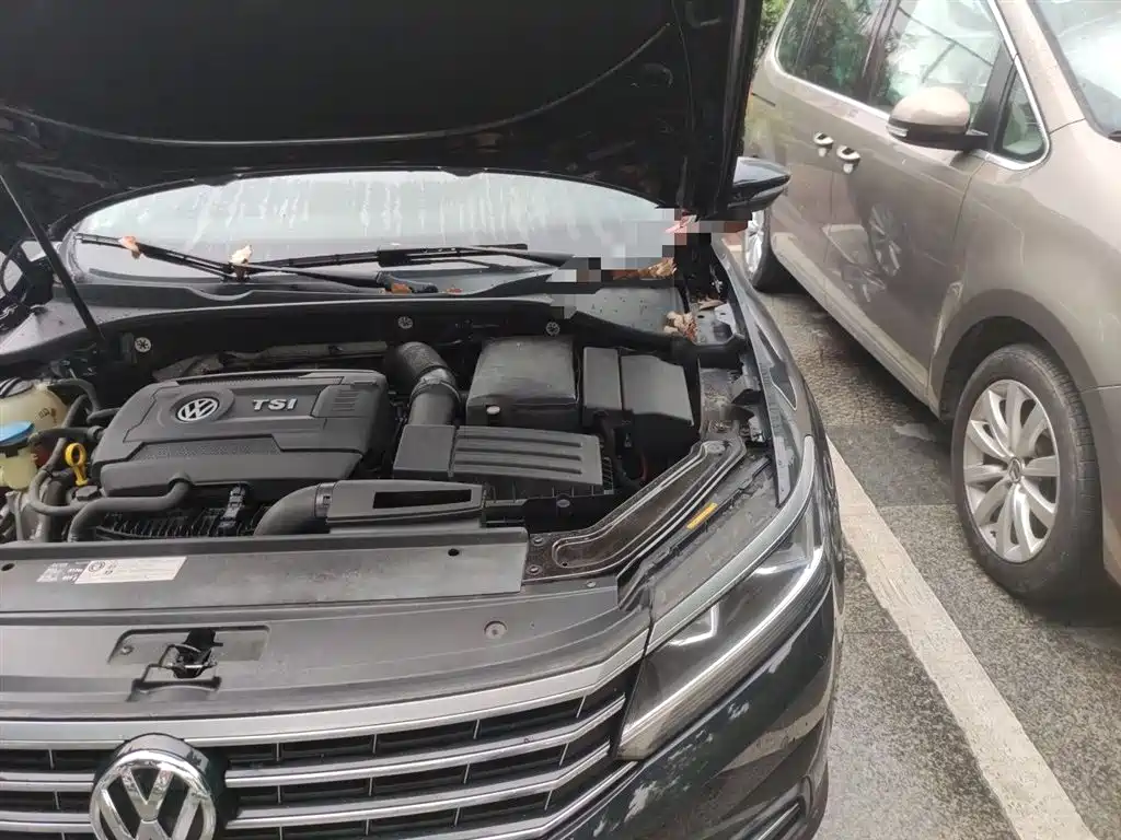 Volkswagen Passat 2017 330TSI DSG Prestige фото 21