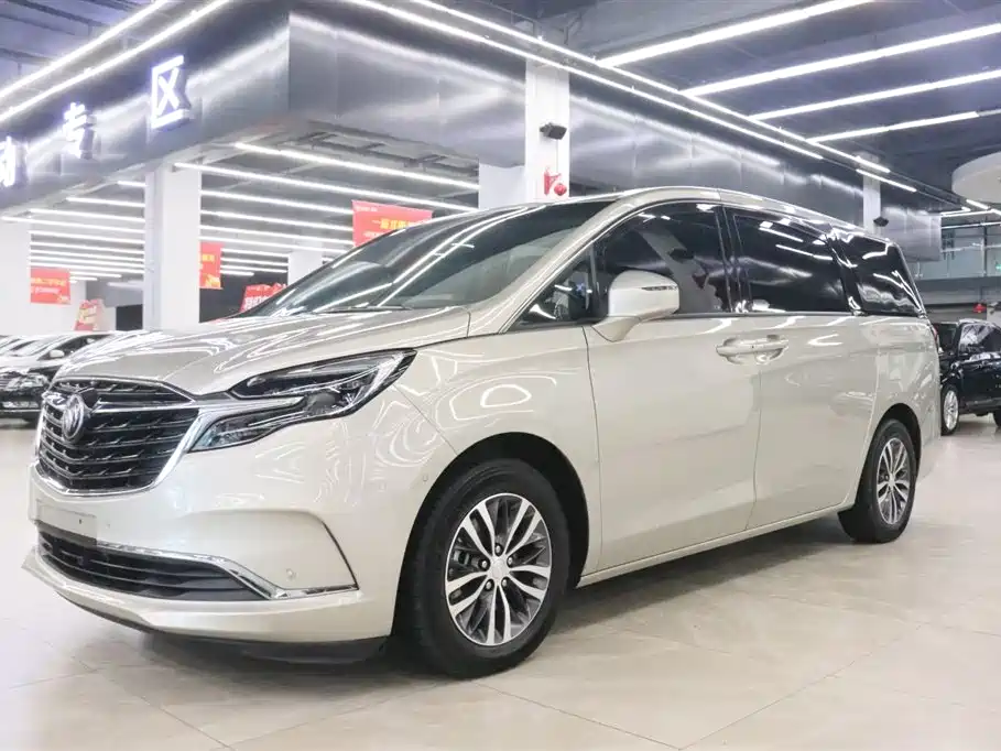 Buick GL8 2022 ES Landmark 653T Premium