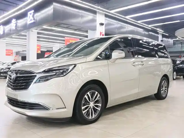 Buick GL8 ES Люкс, 653T, Престиж