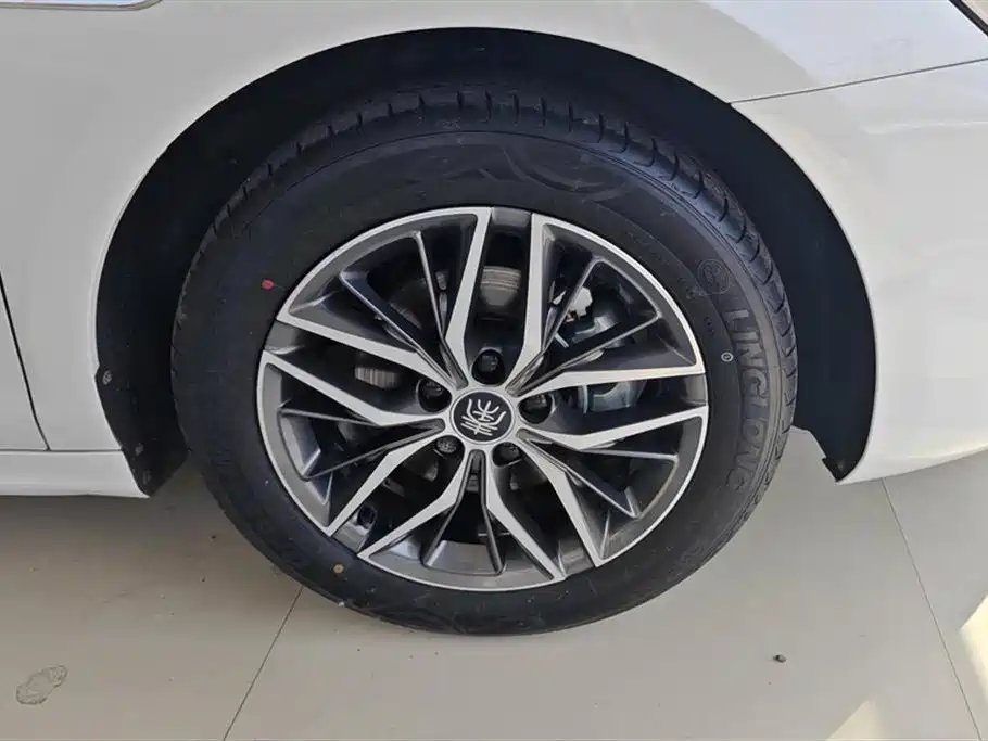 BYD Qin PLUS 2023 Champion Edition EV 510KM Advanced Type фото 6