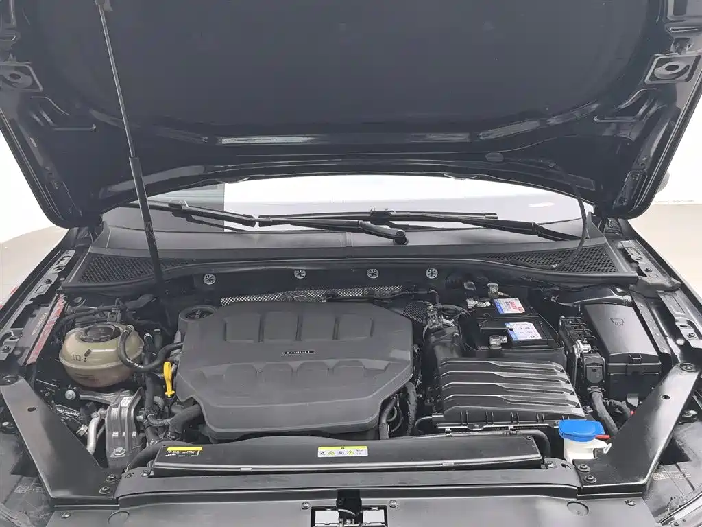 Volkswagen Magotan 2023 Model 2 Million Commemorative Edition 330TSI DSG Luxury фото 6
