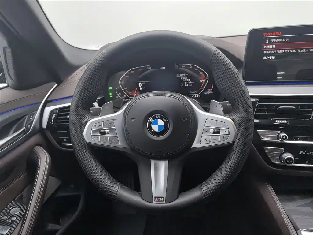 BMW 5 Series 2023 530Li Leading M Sport Package фото 11