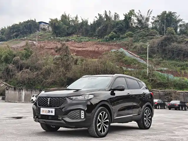 WEI PAI WEI BRAND VV6