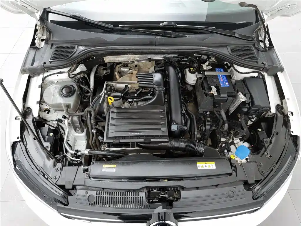 Volkswagen Golf 2021 280TSI DSG 30th Anniversary Edition фото 6