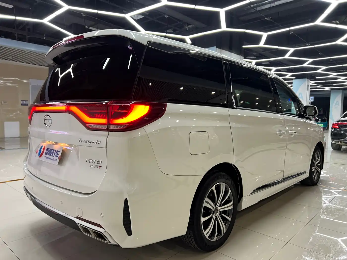 GAC Trumpchi Trumpchi M8 2020 Pilot 390T Ultimate Edition фото 12