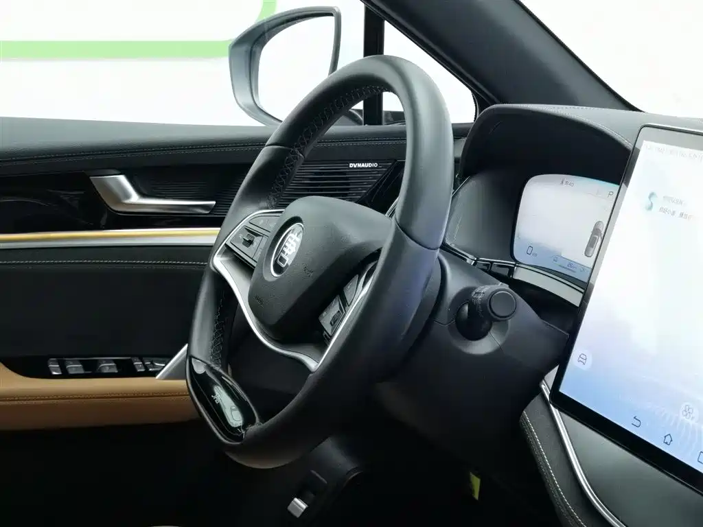 BYD Tang New Energy 2023 Model DM-i Champion Edition 112KM Premium фото 22