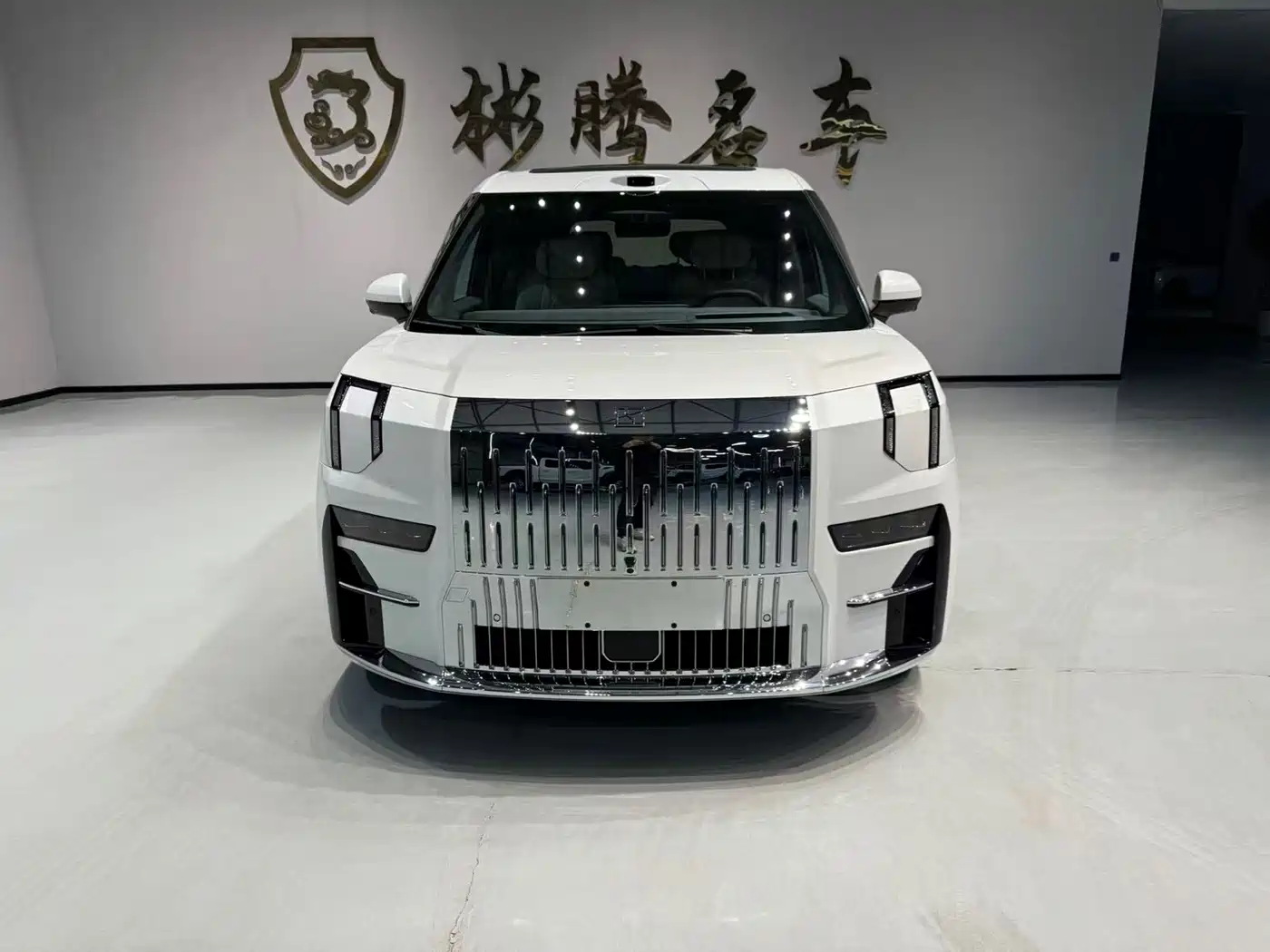 ZEEKR EXTREME KRYPTON 009