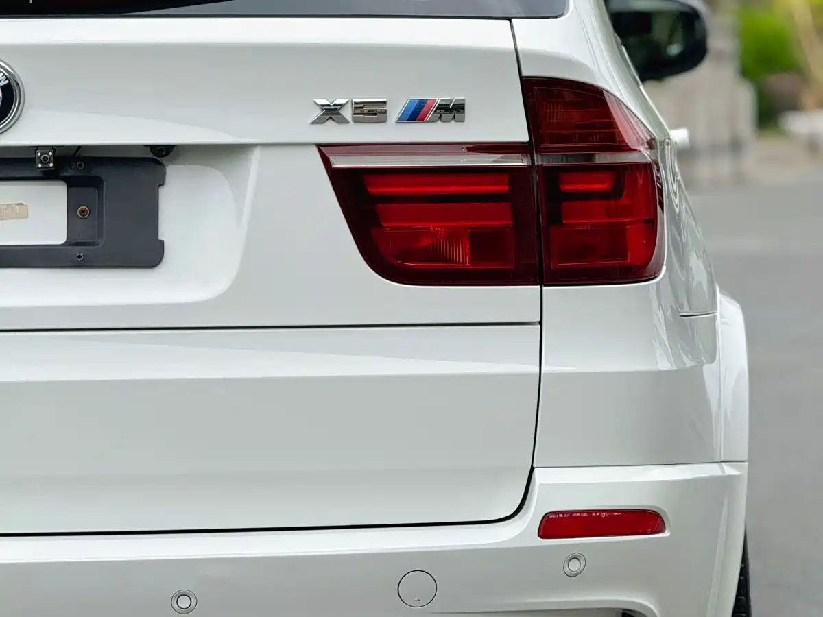 BMW X5 M 2010 X5 M фото 4