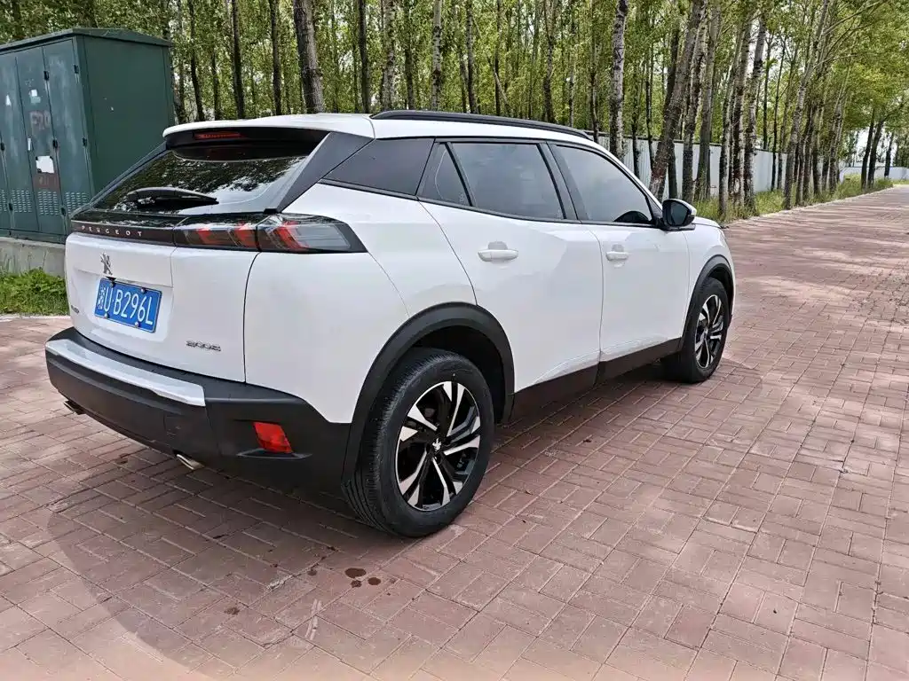 صورة 5 - Peugeot 2008