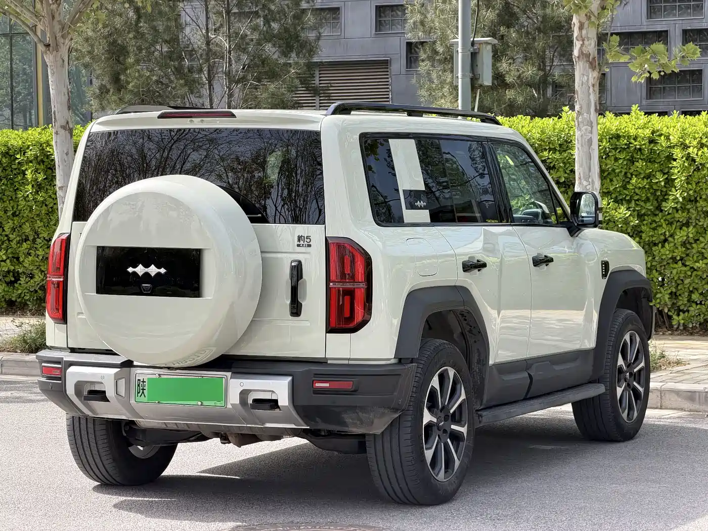 FANG CHENG BAO LEOPARD 5