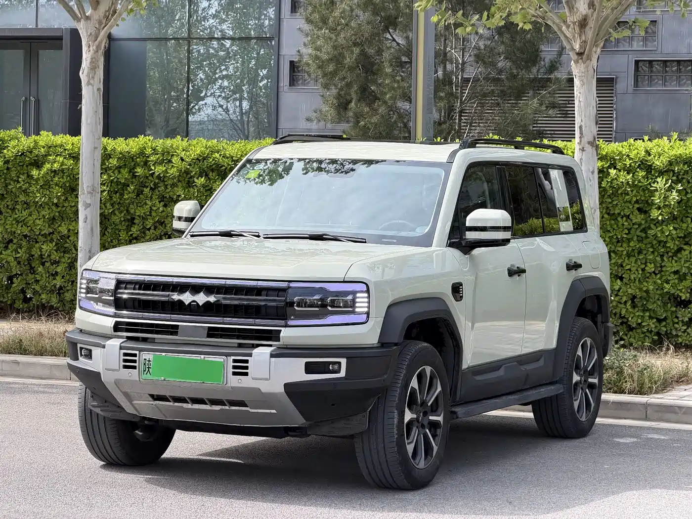 FANG CHENG BAO LEOPARD 5