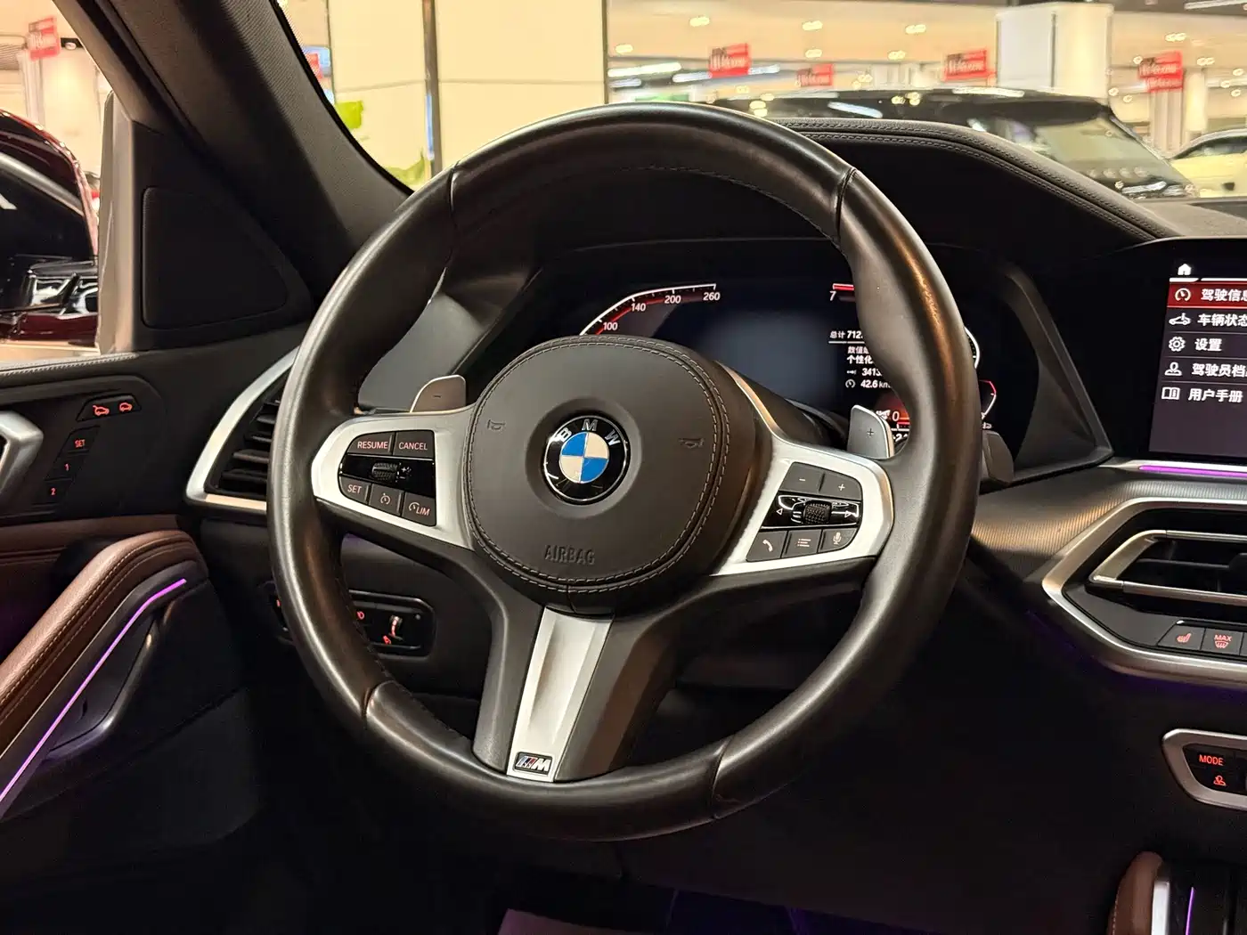 Photo 11 - BMW X6