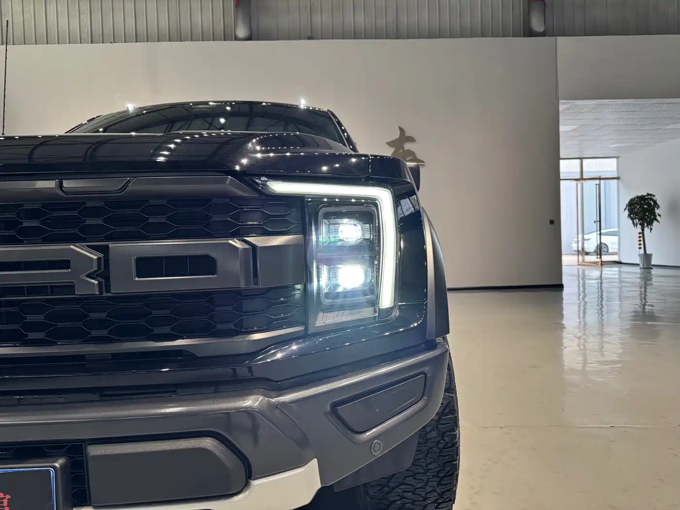 FORD F-150 RAPTOR