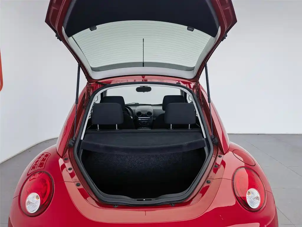 Volkswagen Beetle 2010 Model 1.6 AT фото 16