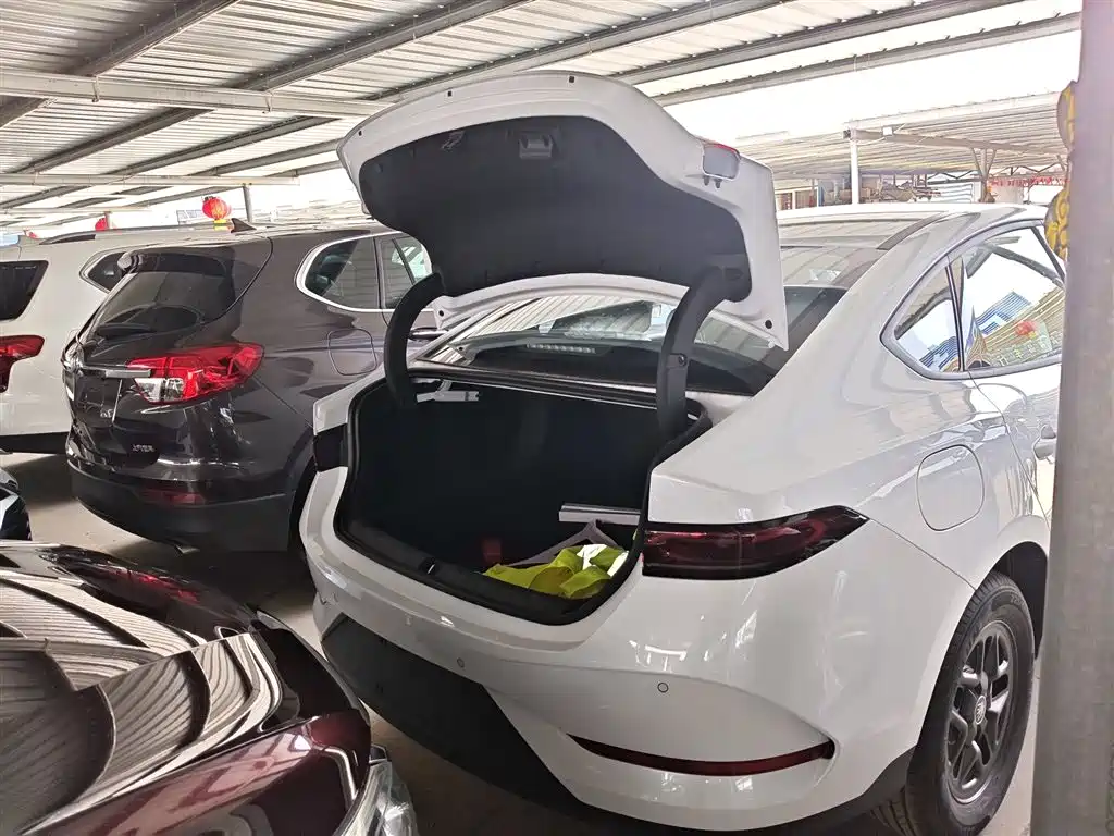 BYD Qin PLUS 2026 DM-i Smart Edition 128KM Progressive фото 19