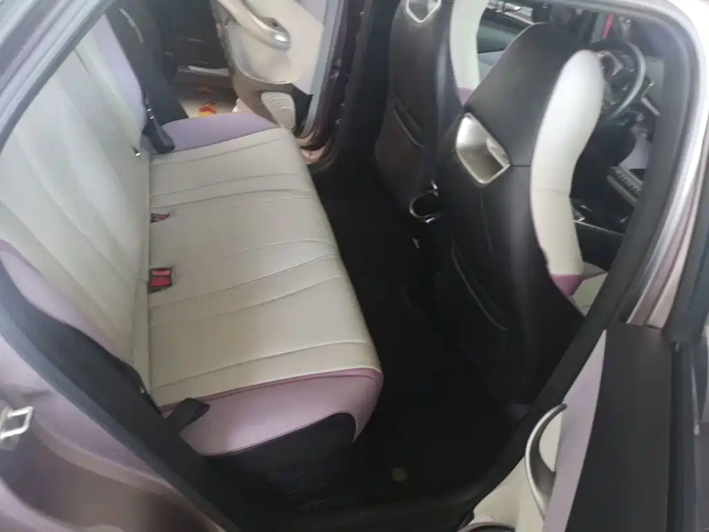 BYD Dolphin 2022 2021 Model 405km Fashion Edition
