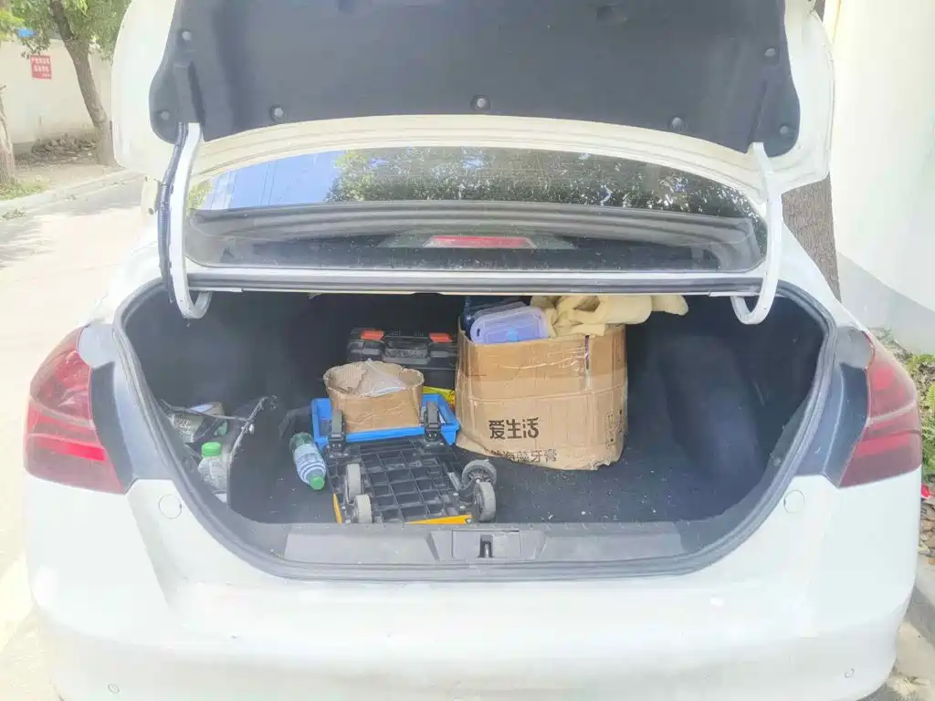 Geely Emgrand New Energy 2018 2018 EV450 Progressive