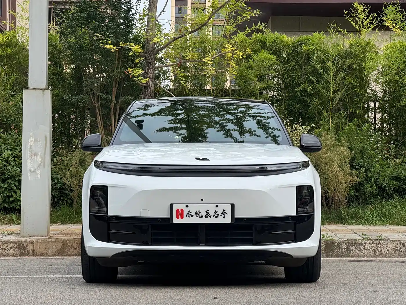 Li Auto L6 2024 2024 Pro