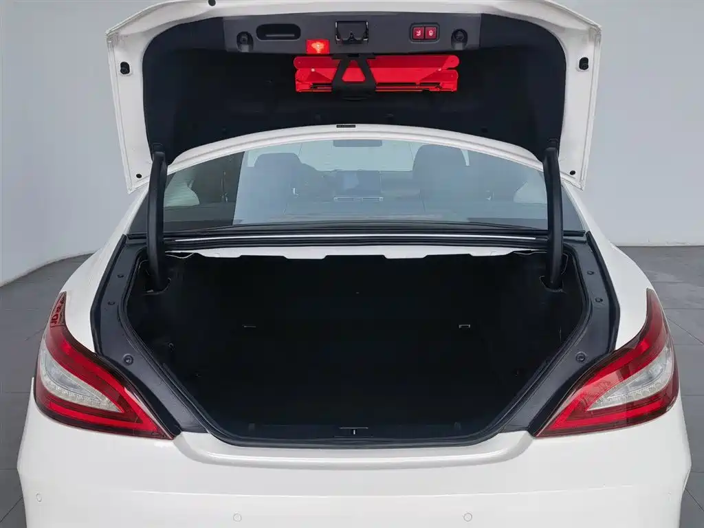 Mercedes-Benz CLS 2015 CLS 320 фото 16