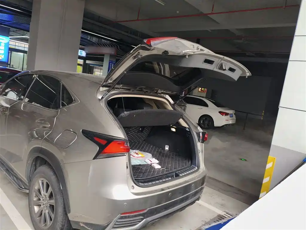 Lexus NX 2018 200 FWD Sharp Edition China VI фото 19