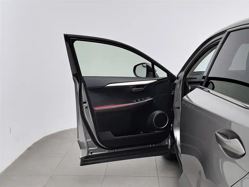 Lexus NX 2018 Model 300 FWD Fengxing Edition фото 8