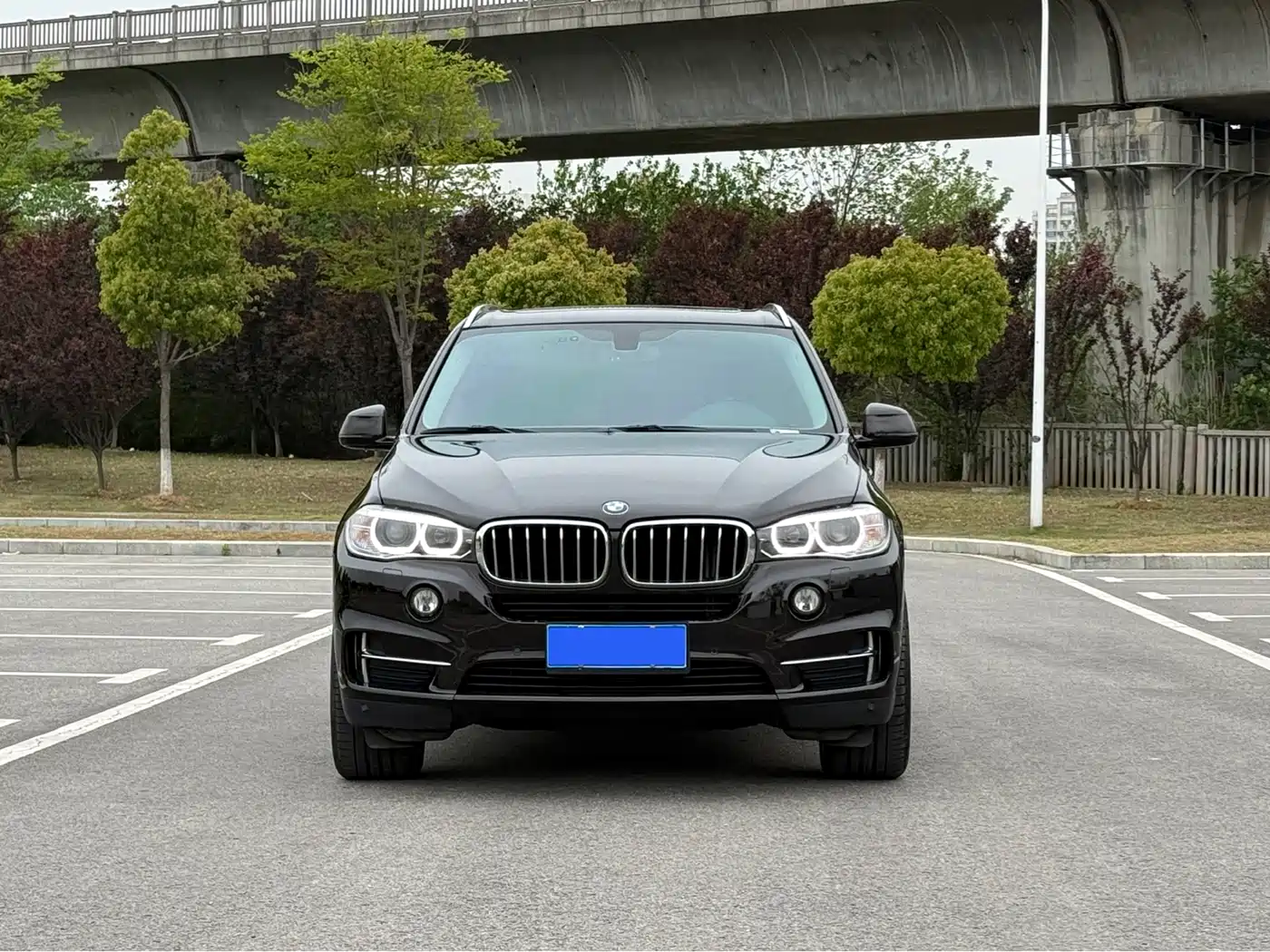 BMW X5 (Import) 2017 xDrive28i фото 2