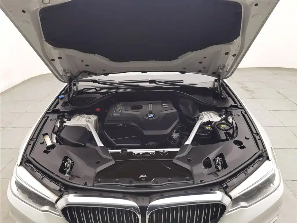 BMW 5 Series 2020 530Li Leading Luxury Package фото 6