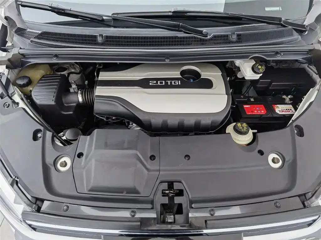 SAIC Maxus Maxus G20 2021 PLUS 2.0T Gasoline Automatic Luxury Edition фото 6