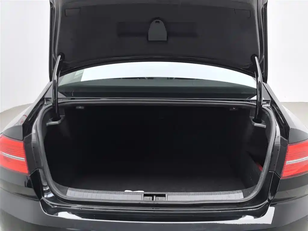 Volkswagen Magotan 2018 330TSI DSG Luxury фото 16
