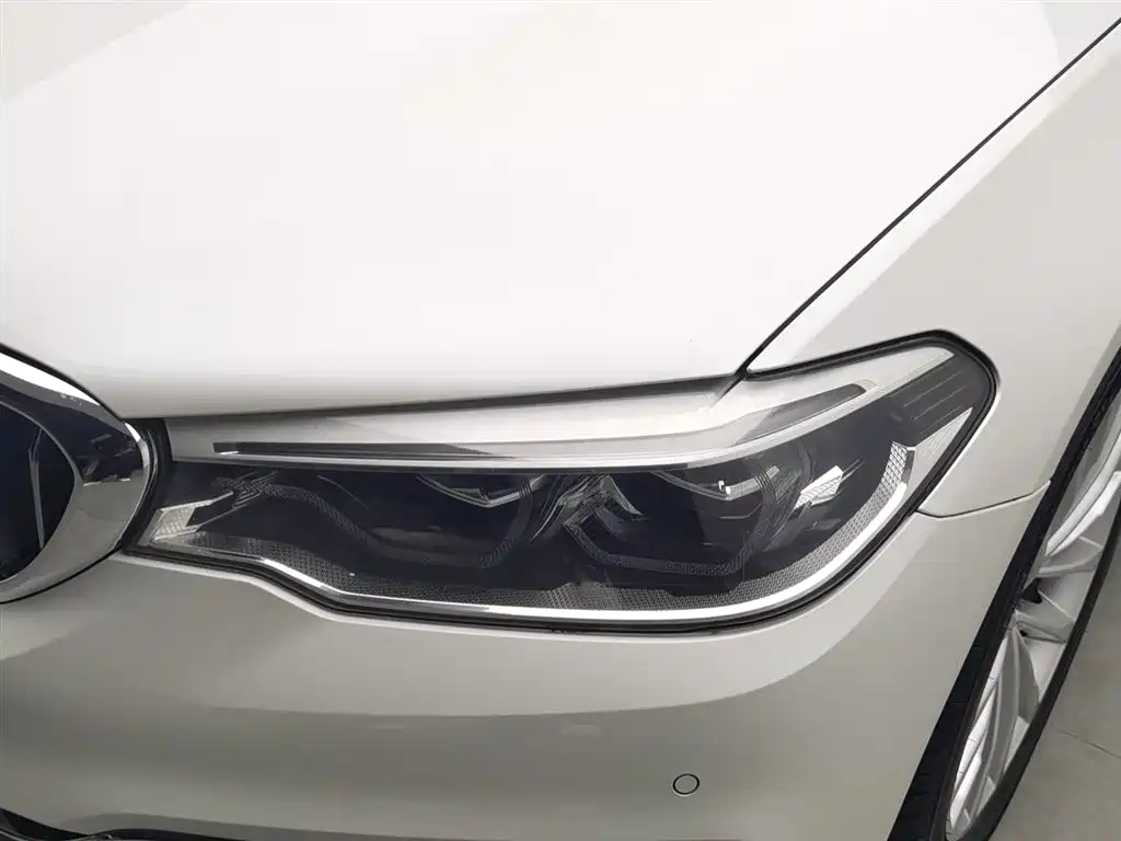 BMW 5 Series 2020 530Li Leading Luxury Package фото 7
