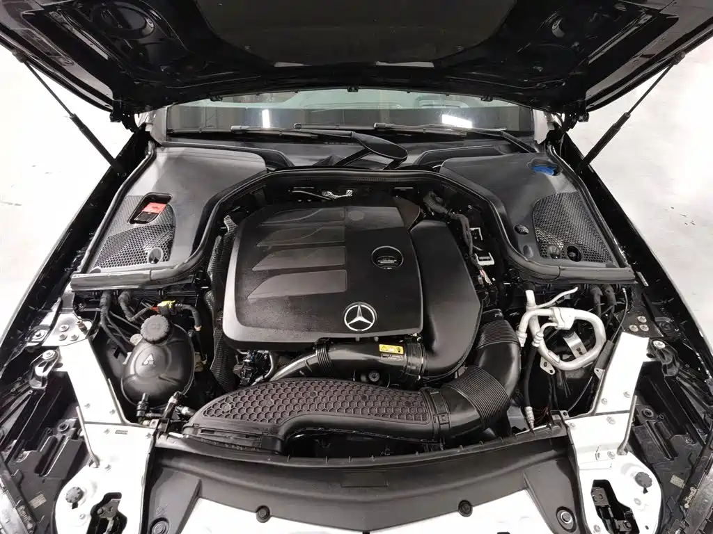 Mercedes-Benz E-Class 2020 E 300 L Sport Luxury Model фото 6