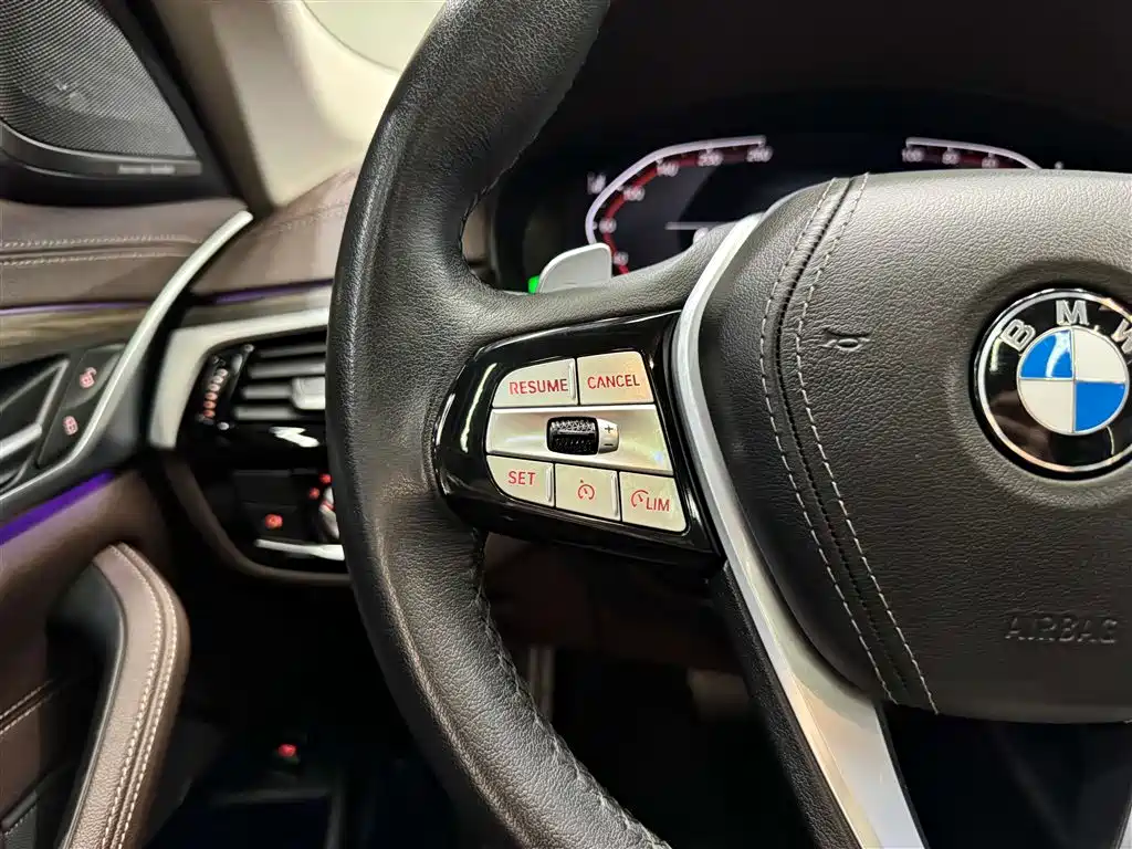 BMW 5 Series 2023 530Li Premium Luxury Package фото 16