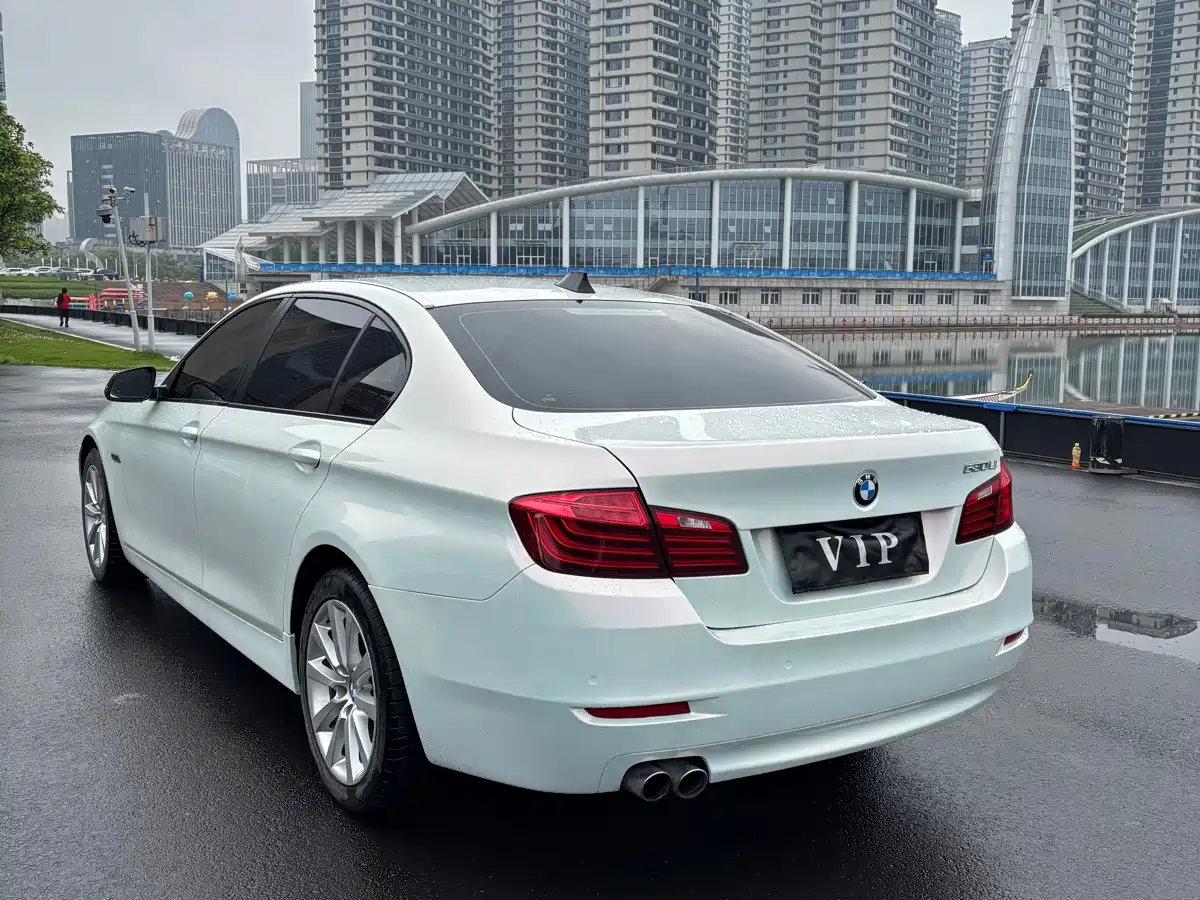 BMW 5 Series 2013 530Li Leadership фото 8