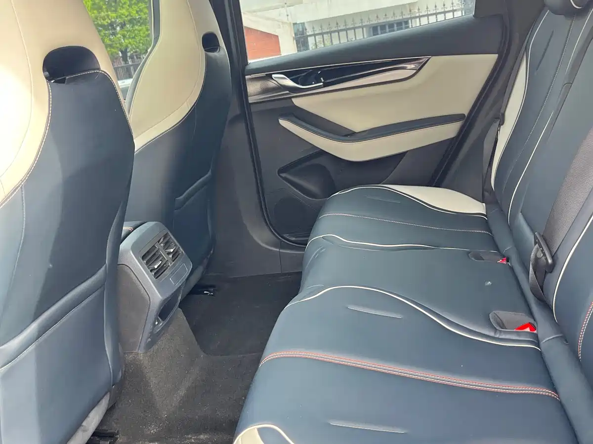 BYD Qin PLUS 2021 DM-i 55KM Premium фото 14