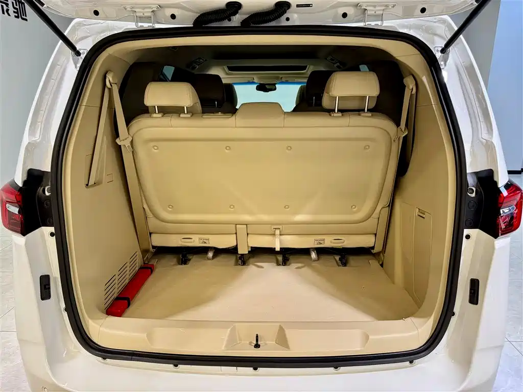Buick GL8 2023 Facelift Land Business Class Luxury фото 24