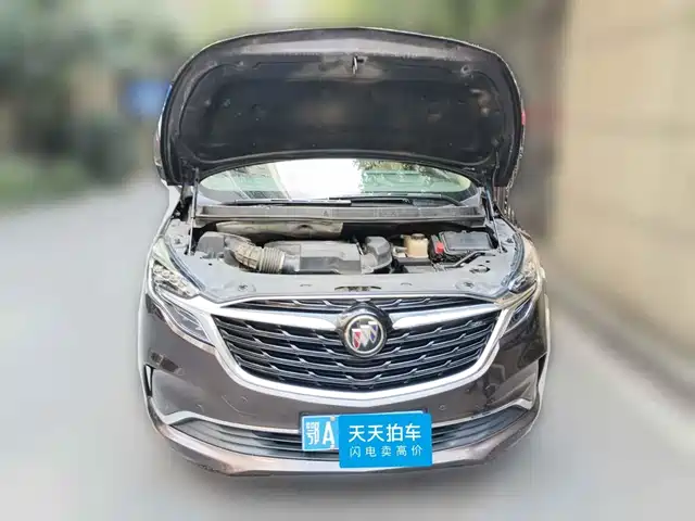 Buick GL8 2021 ES Landlord 653T Premium — фото 3