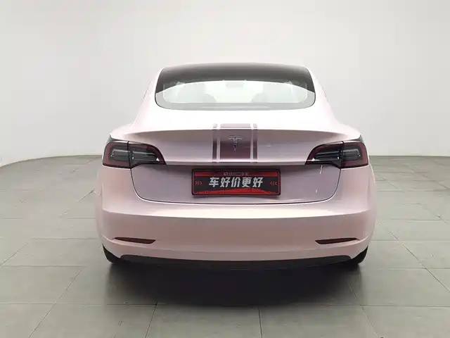 Tesla Model 3 2022 Model Rear-Wheel Drive Version — фото 4