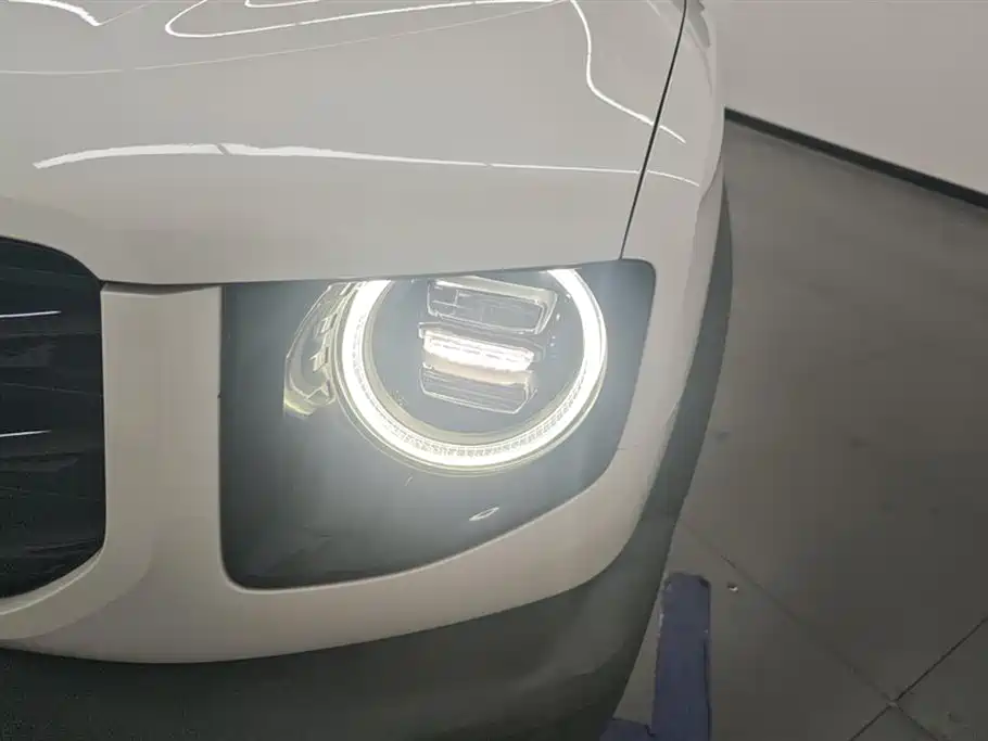 Haval Big Dog 2021 1.5T DCT 2WD Border Collie Edition фото 5
