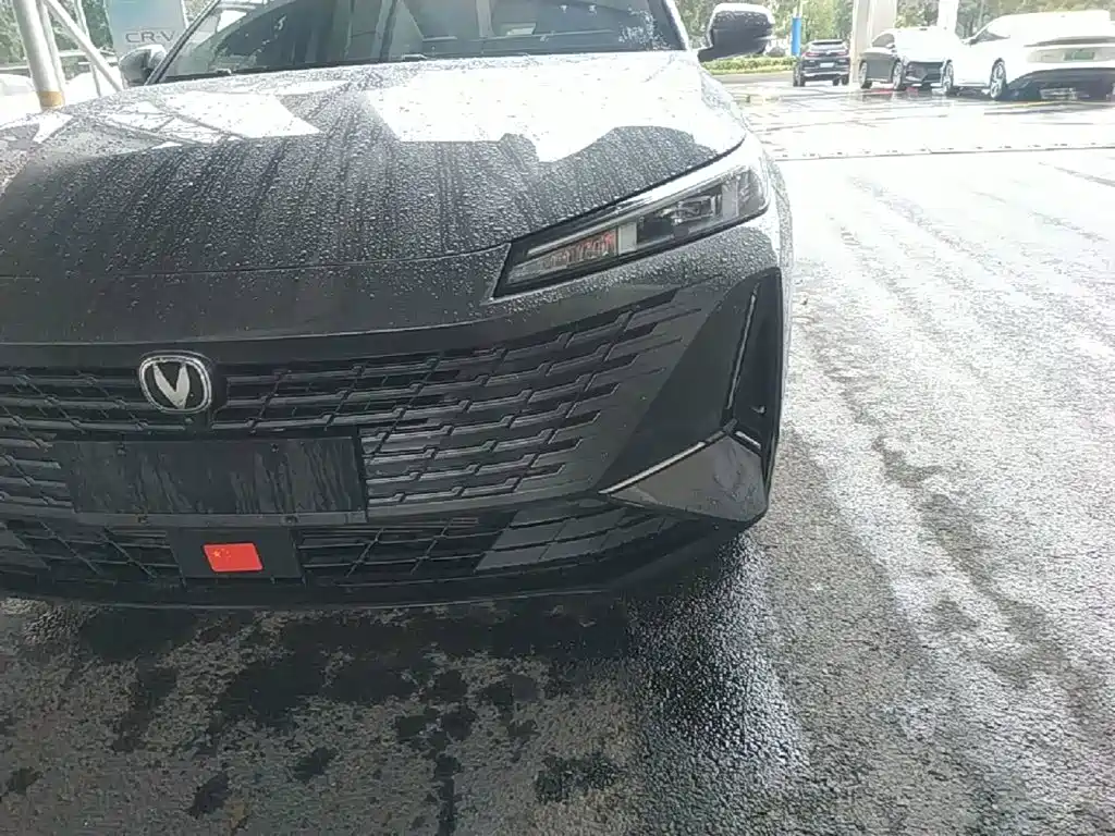 Changan Yida 2024 2023 Blue Whale NE 1.5T GDI DCT Exclusive
