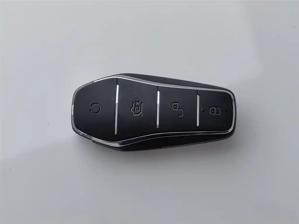BYD Song MAX New Energy 2022 DM-i 105KM Honor Model фото 19