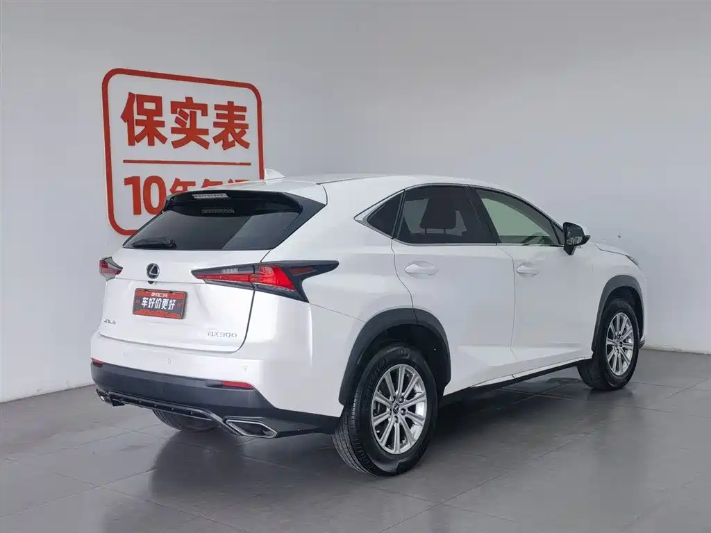 Lexus NX 2018 Model 300 FWD Fengxing Edition фото 2