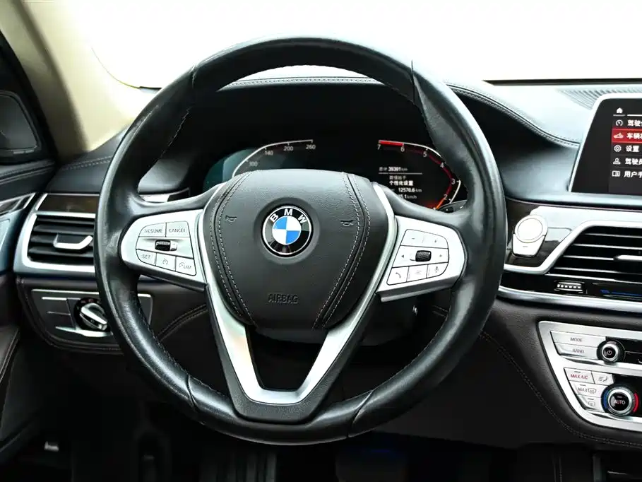 BMW 7 Series 2021 Model 730Li Luxury Package фото 22